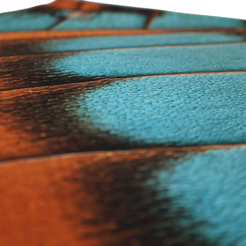 AeroWing mens teal copper wing print tank top surface texture detail
